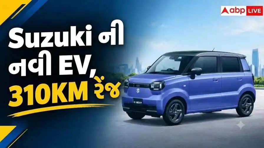 સુઝુકીની નવી ઇલેક્ટ્રિક કાર 'e સ્કાય' જાપાનમાં લોન્ચ, 310 કિમી રેન્જ