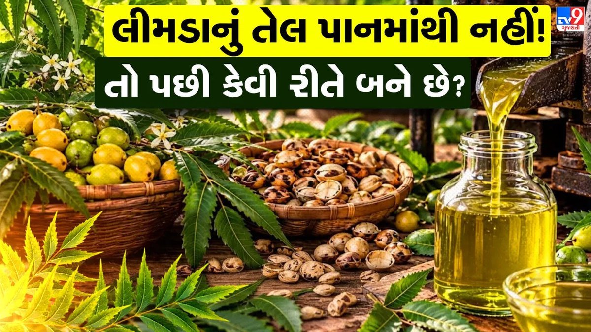 લીમડાનું તેલ ઘરે બનાવવાની દેશી રીત: પાનમાંથી નહીં, બીજમાંથી કાઢવામાં આવે છે તેલ