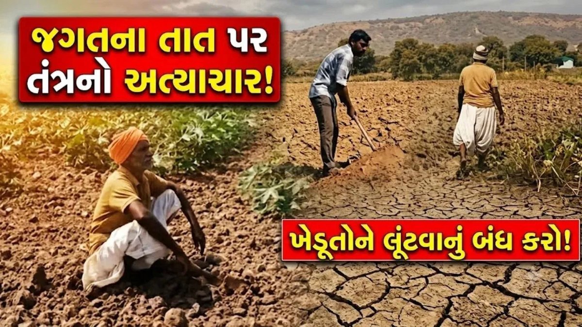 બનાસકાંઠામાં ખેડૂતો નારાજ: NPK ખાતર ₹500 મોંઘું, દુષ્કાળની ભીતિ વચ્ચે નુકસાનનો ડર