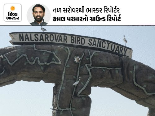 નળ સરોવરમાં 230 નવી બોટ સાથે બોટિંગ ફરી શરૂ, ₹500 નું નિશ્ચિત ભાડું અને સાયકલિંગની મજા