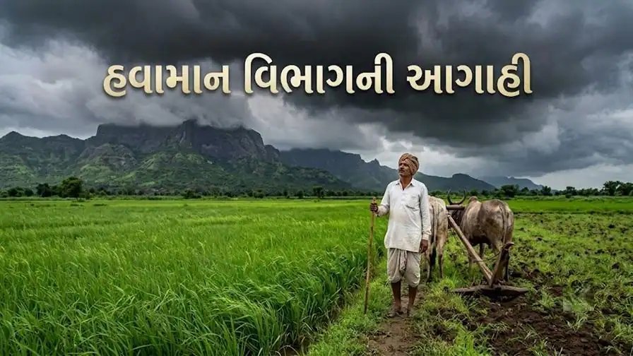 નવરાત્રિના છેલ્લા દિવસે અમરેલી, ભાવનગર, નવસારી સહિત 8 જિલ્લામાં વરસાદની શક્યતા