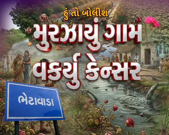 ધોળકાના ભેટાવાડા ગામમાં પ્રદૂષિત પાણી: ગુલાબની ખેતી બરબાદ, કેન્સરનો ફેલાવો, 12 દિવસથી ધરણા