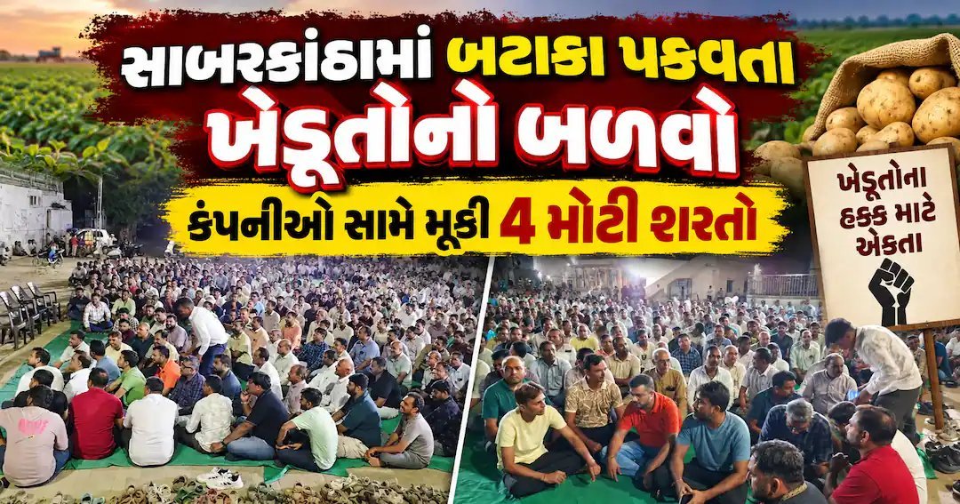 સાબરકાંઠાના ૧૨ ગામોના ખેડૂતોનો કડક નિર્ણય: કંપનીઓએ માંગણીઓ ન માની તો બટાકાનું વાવેતર બંધ