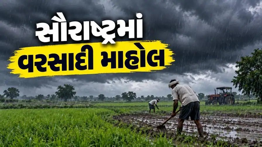 દ્વારકામાં ધોધમાર વરસાદ, ધોરાજી-જેતપુરમાં ધીમીધારે વરસાદથી ખેડૂતો ખુશ