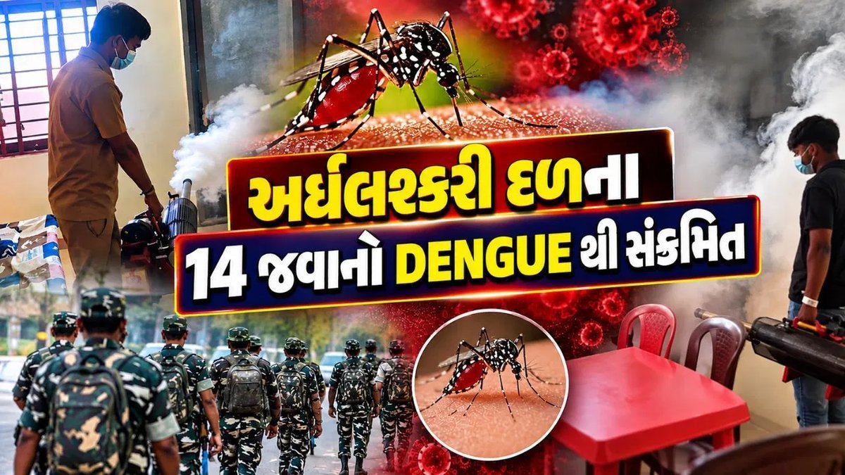 ગાંધીનગરમાં ડેન્ગ્યુ: રાષ્ટ્રીય એકતા દિવસની પરેડમાં ભાગ લેવા આવેલા 14 જવાનો સંક્રમિત