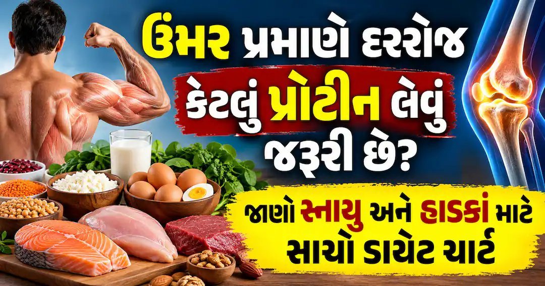 ઉંમર પ્રમાણે દરરોજ કેટલું પ્રોટીન લેવું? જાણો સાચો ડાયેટ ચાર્ટ